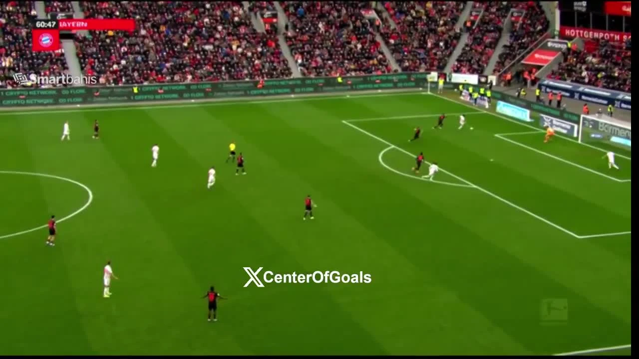 zaslepka skrotu video