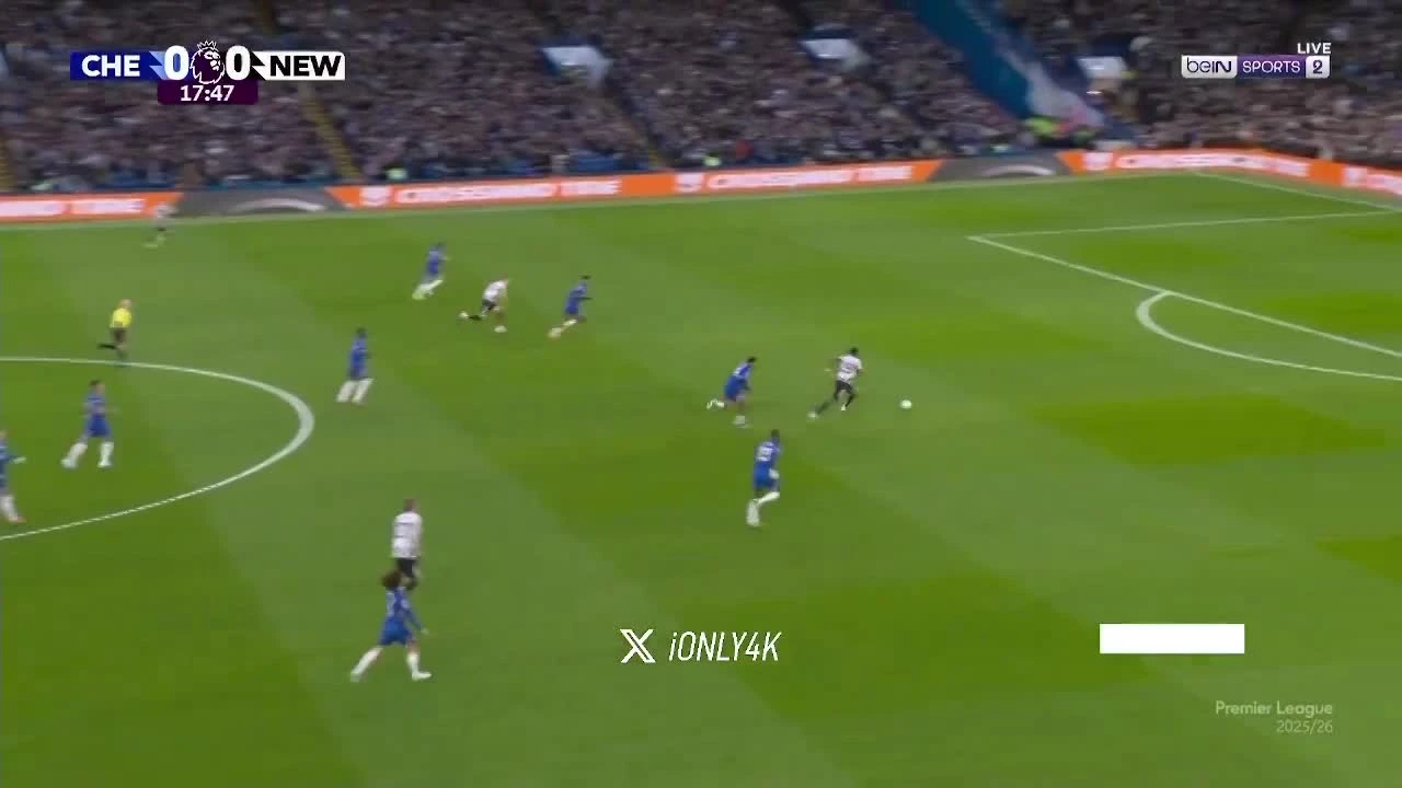 zaslepka skrotu video