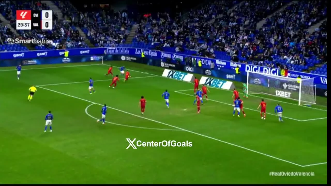 zaslepka skrotu video