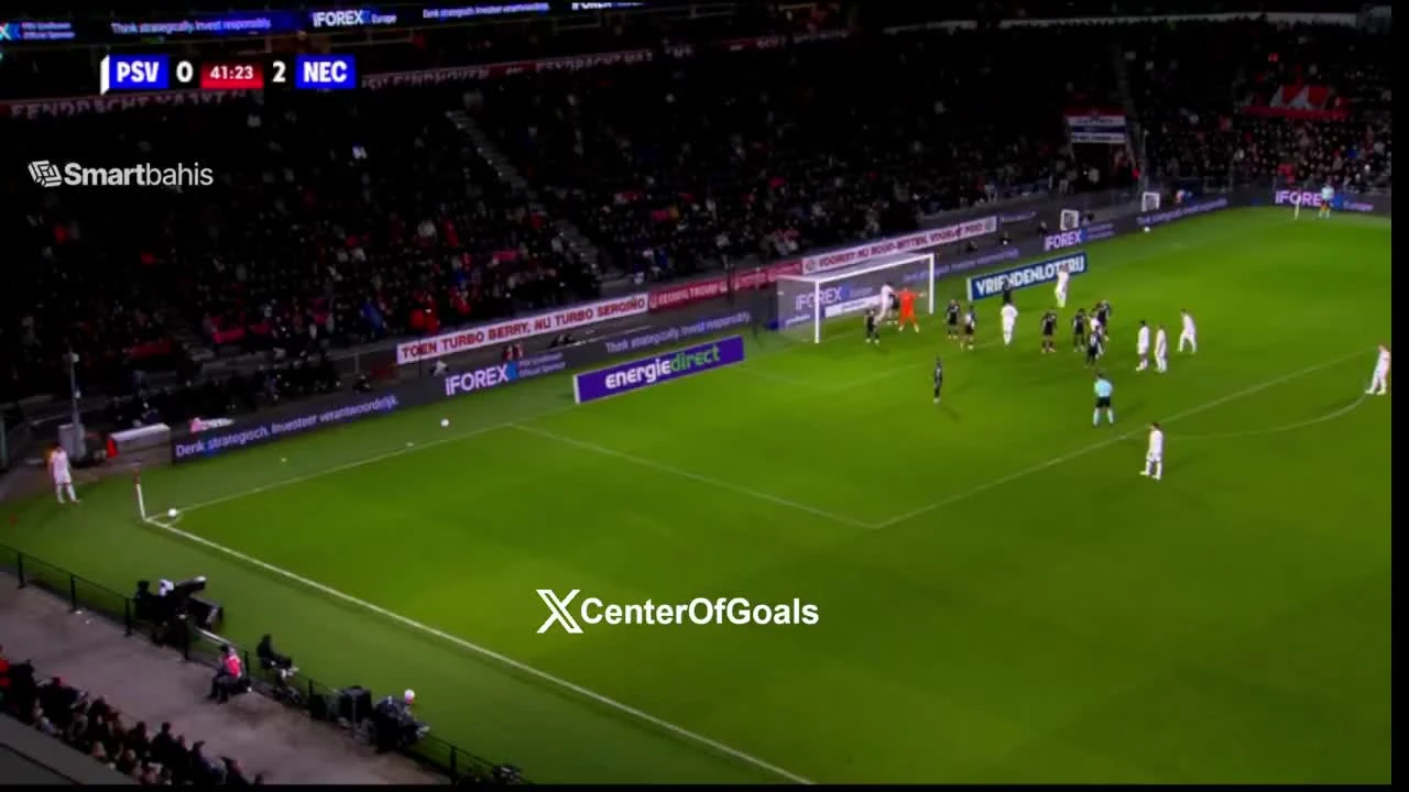 zaslepka skrotu video