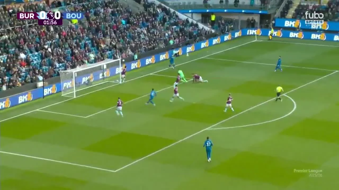 zaslepka skrotu video