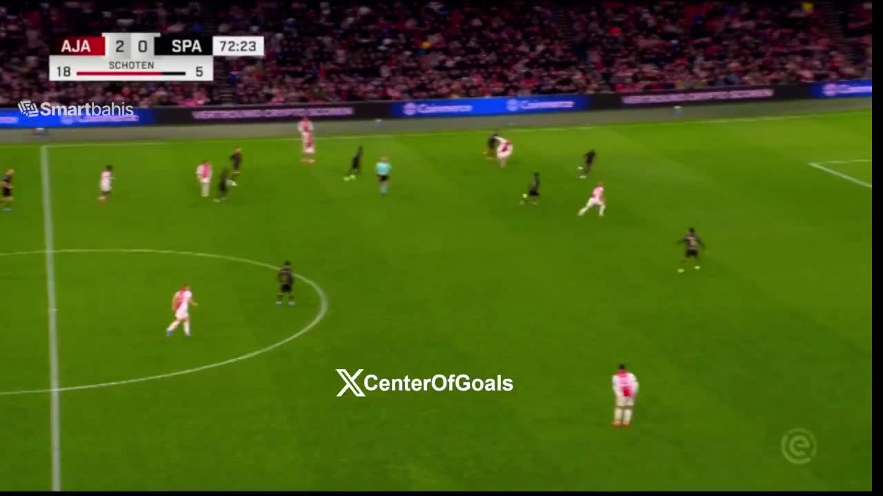 zaslepka skrotu video