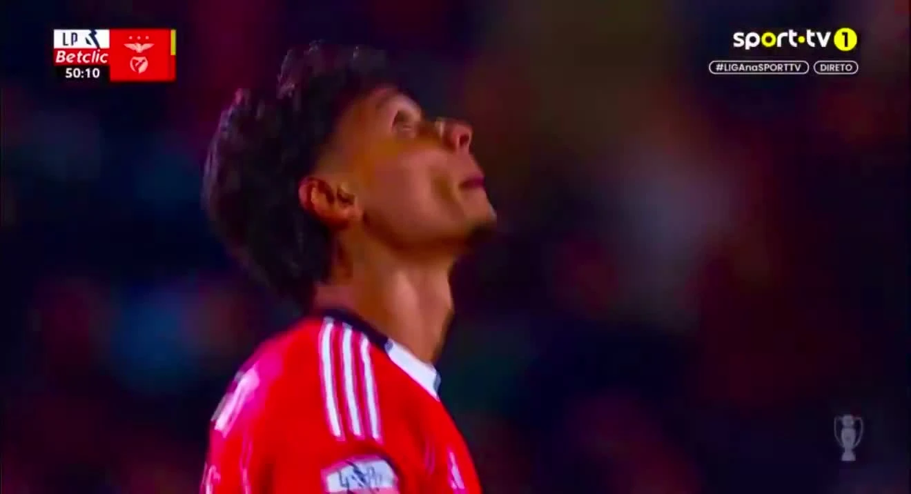 zaslepka skrotu video