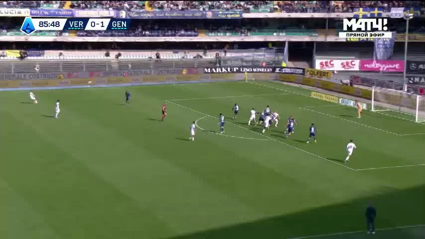 zaslepka skrotu video