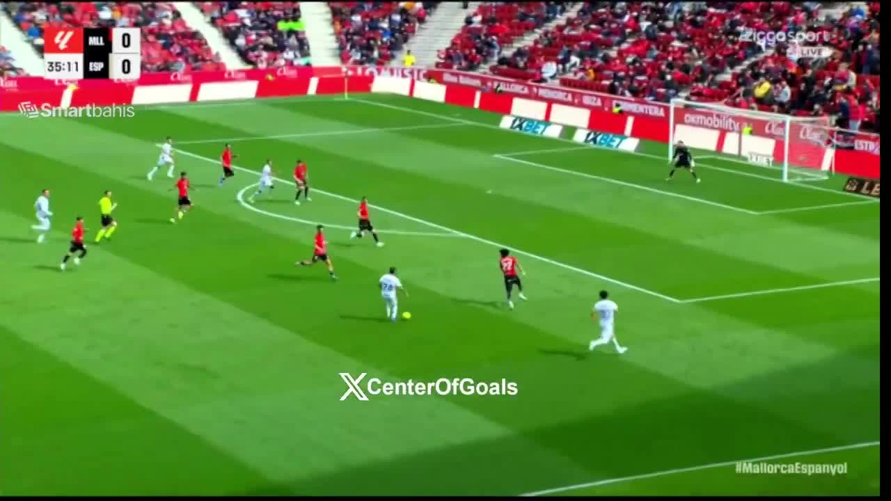 zaslepka skrotu video