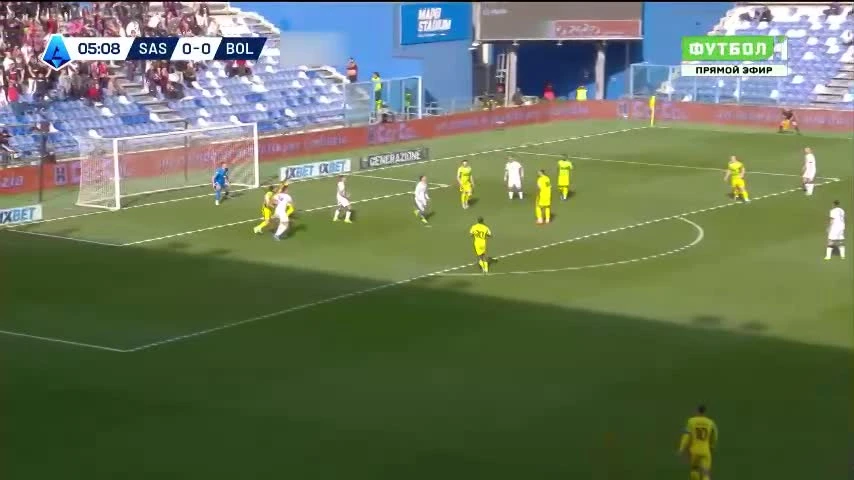 zaslepka skrotu video