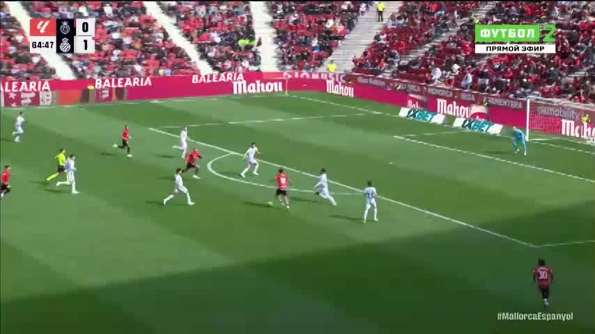 zaslepka skrotu video