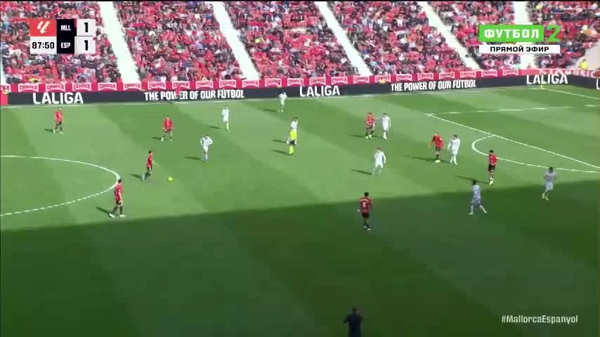 zaslepka skrotu video