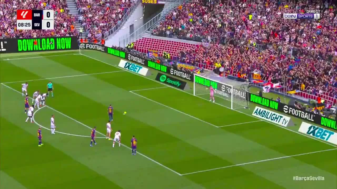 zaslepka skrotu video