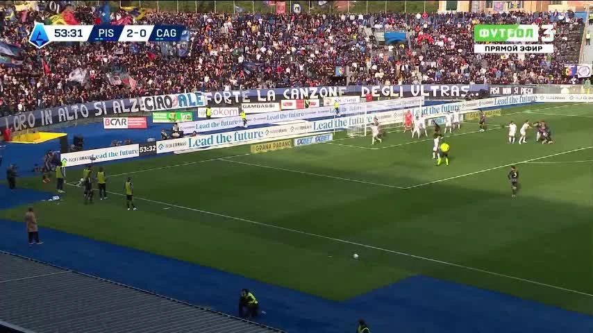 zaslepka skrotu video