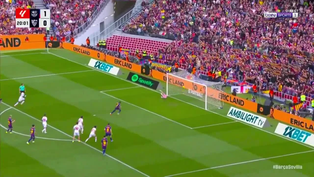 zaslepka skrotu video