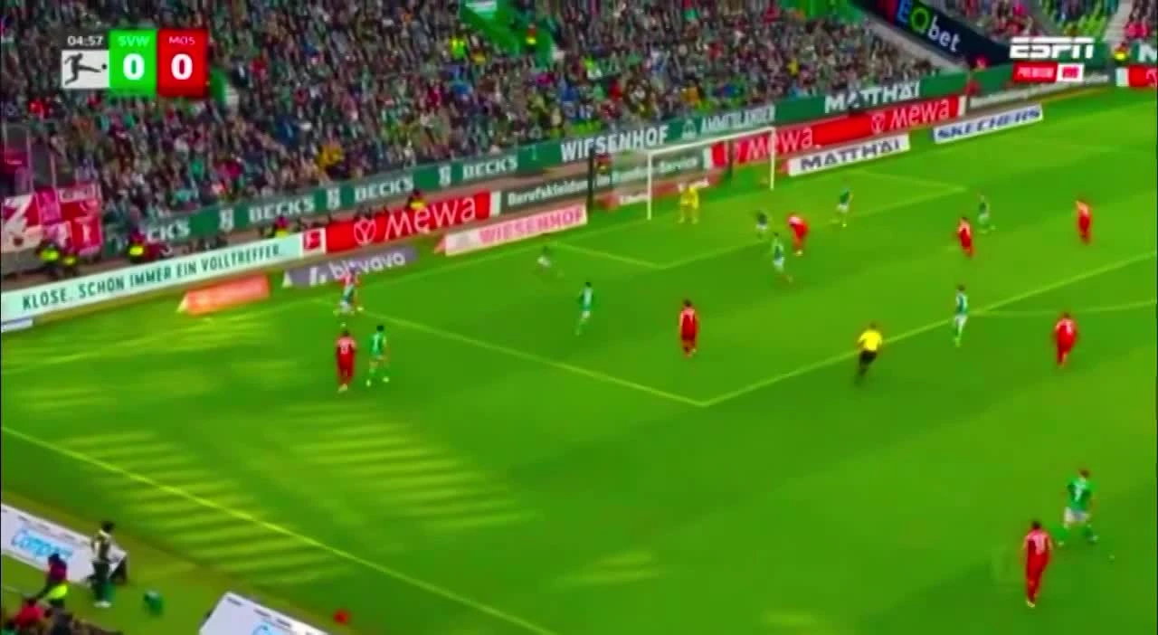 zaslepka skrotu video