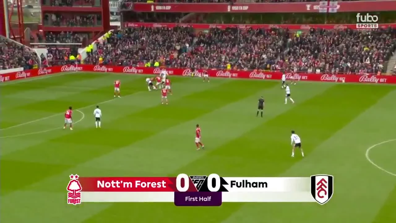 zaslepka skrotu video