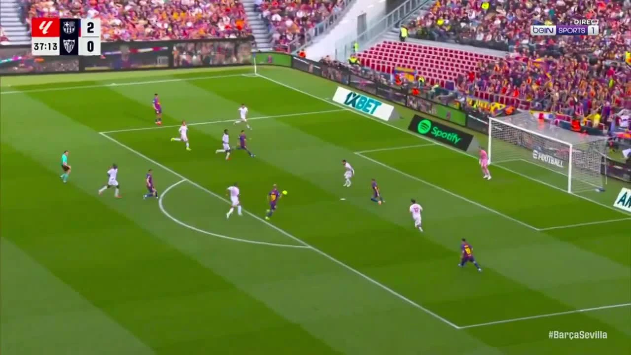 zaslepka skrotu video