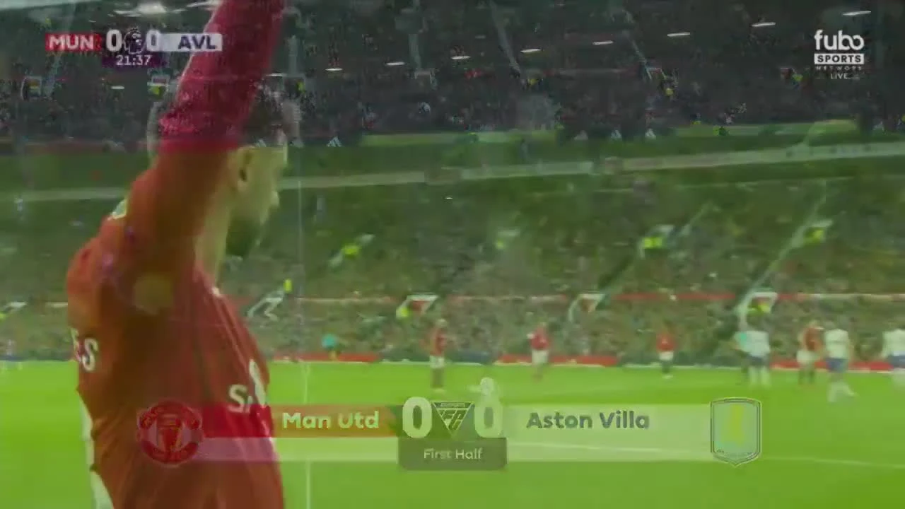 zaslepka skrotu video