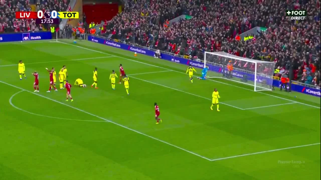 zaslepka skrotu video