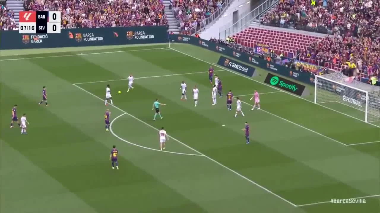 zaslepka skrotu video