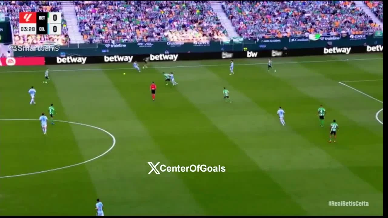 zaslepka skrotu video