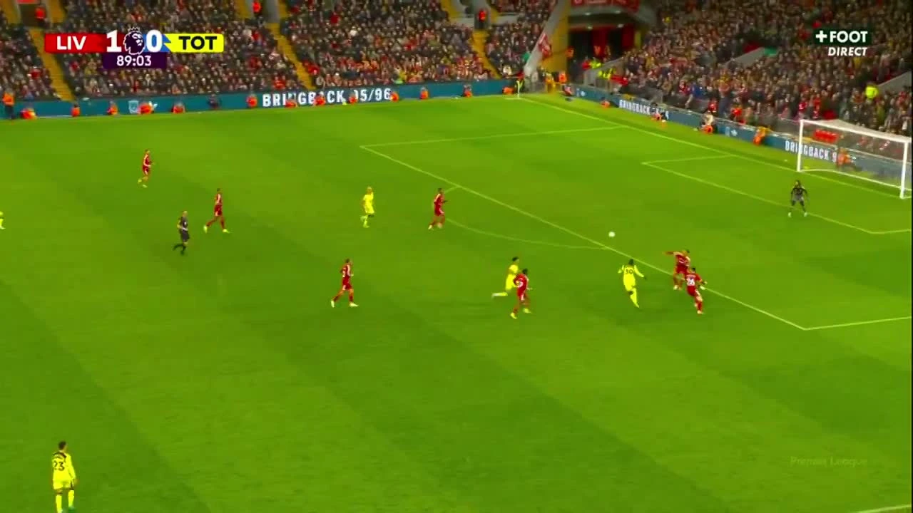 zaslepka skrotu video