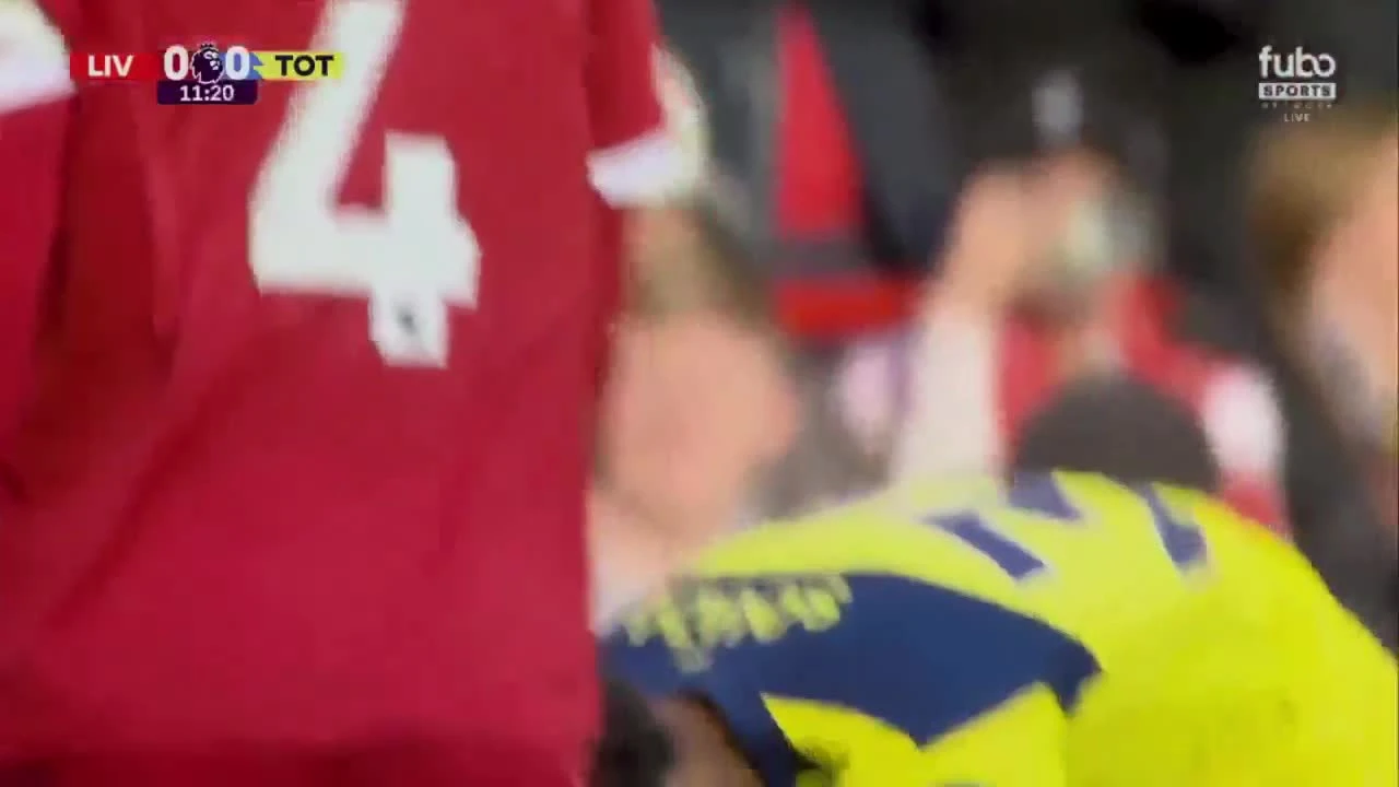 zaslepka skrotu video