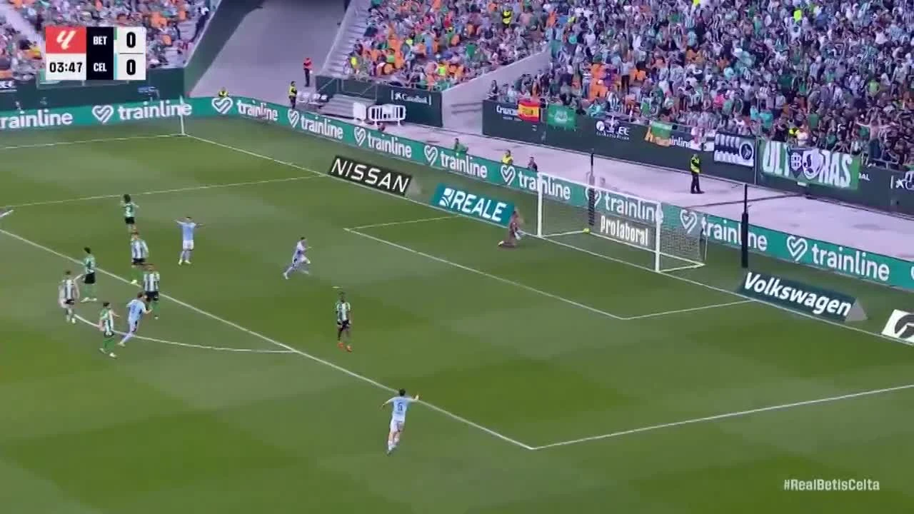 zaslepka skrotu video