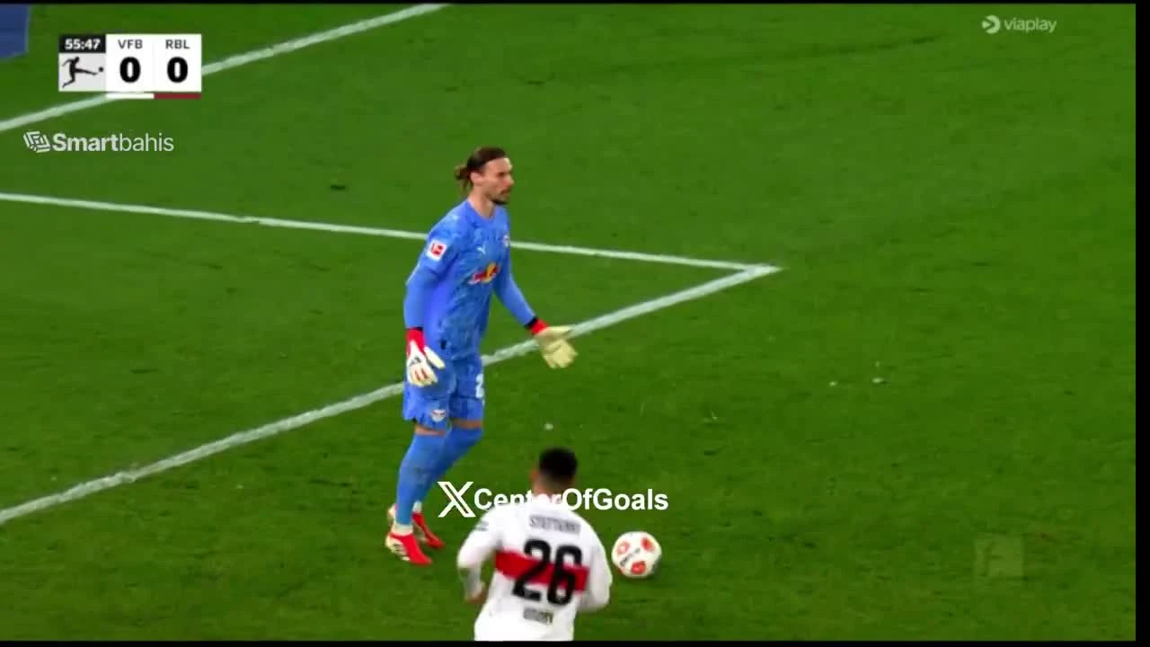 zaslepka skrotu video