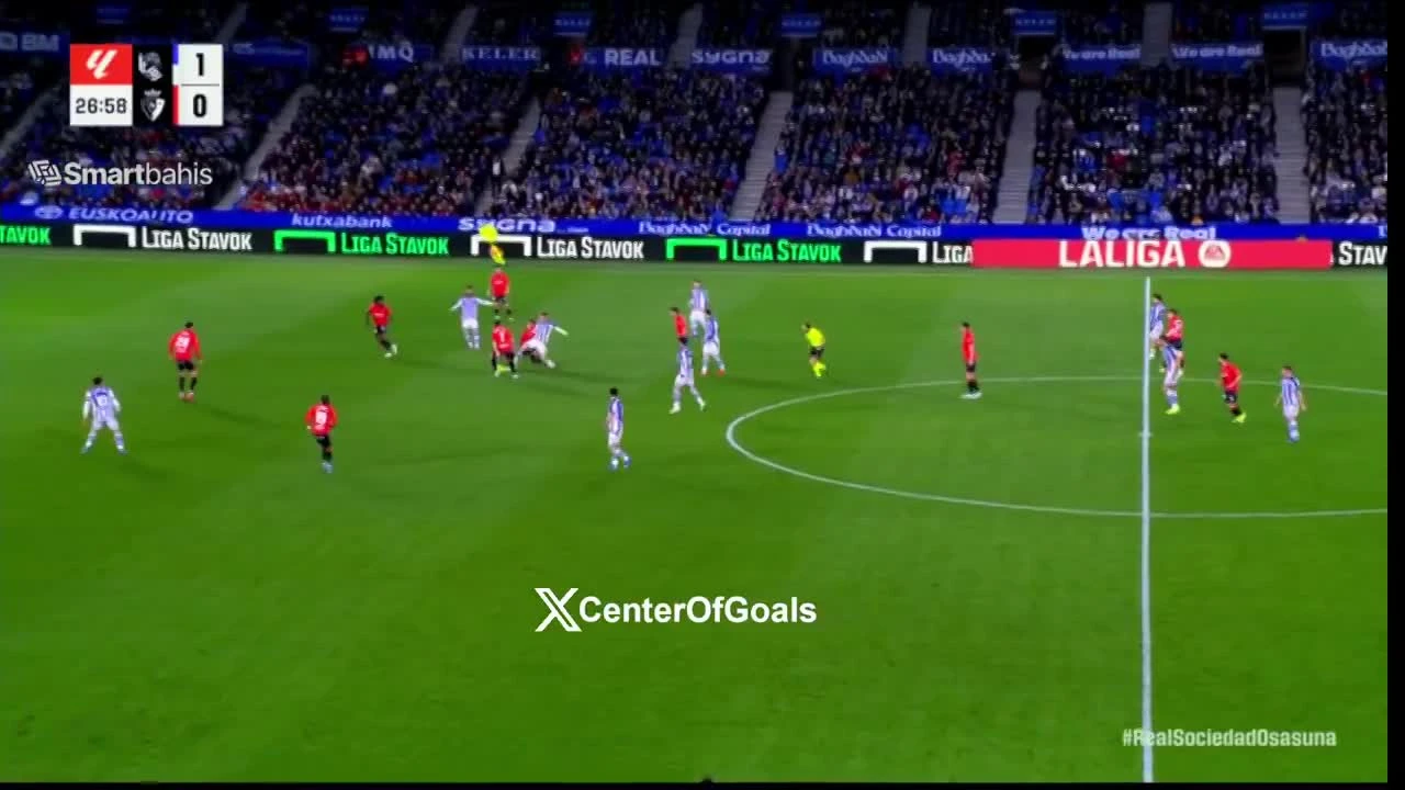 zaslepka skrotu video