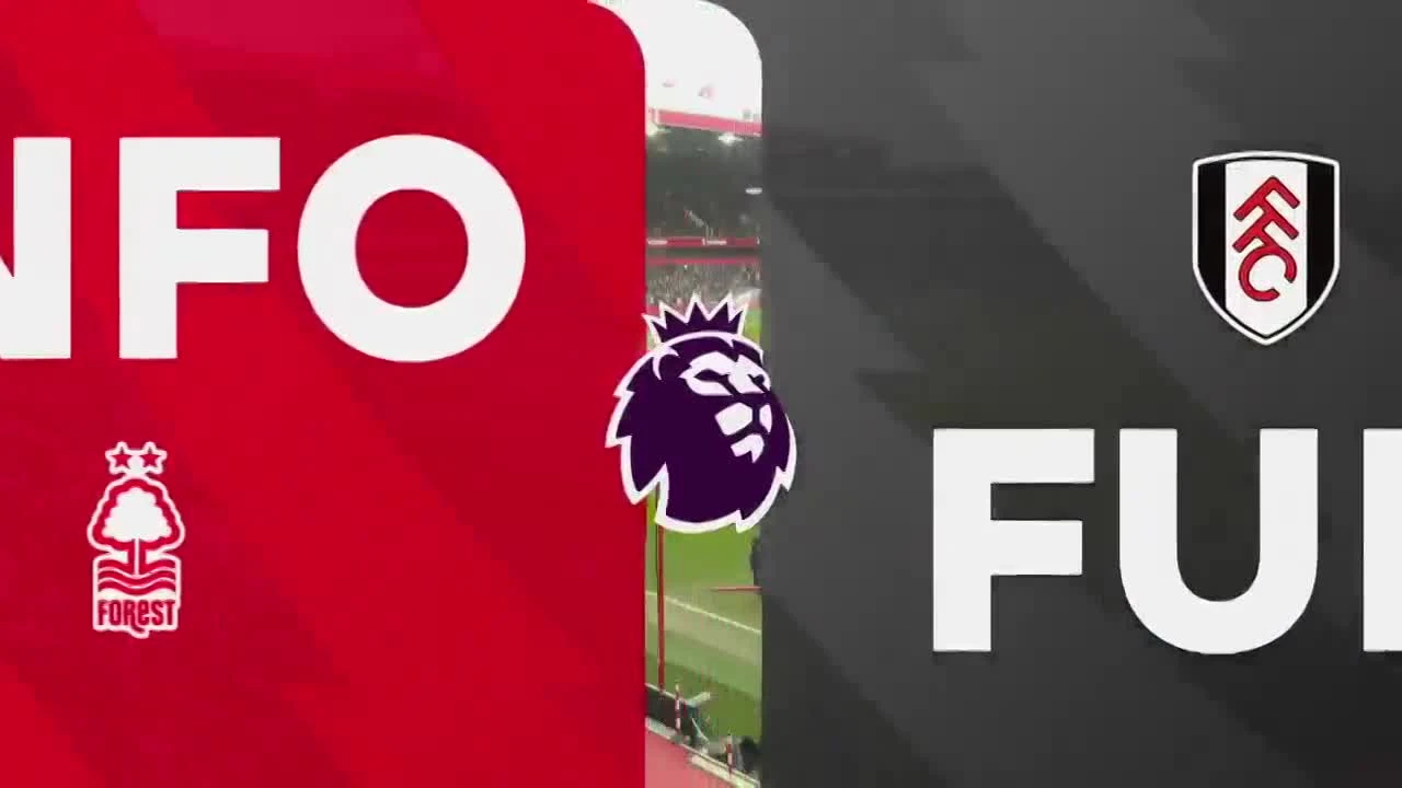 zaslepka skrotu video