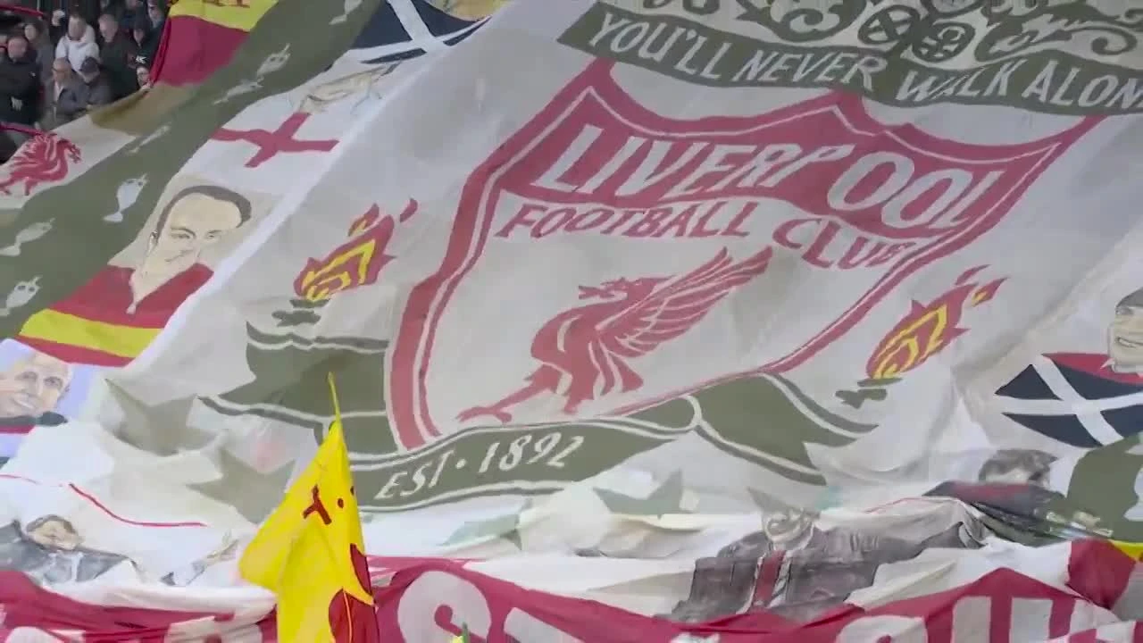 zaslepka skrotu video