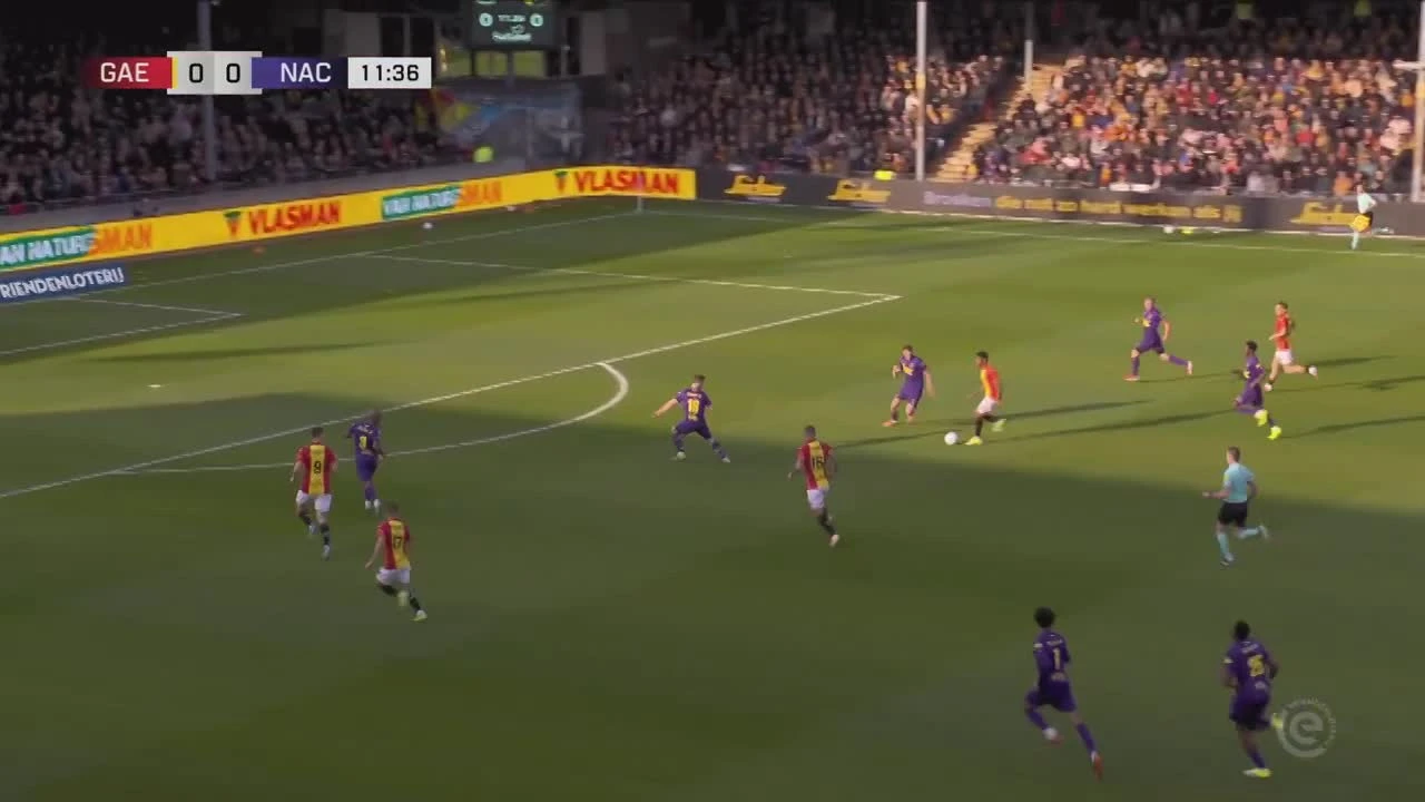 zaslepka skrotu video