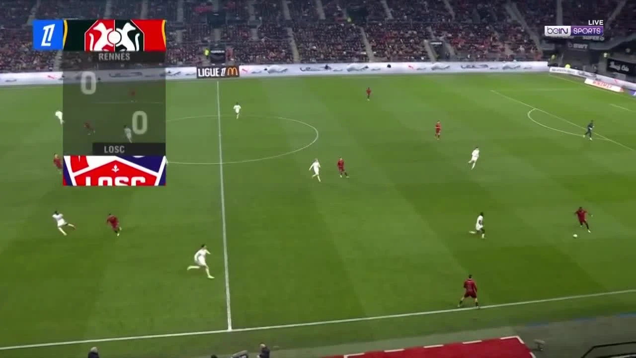 zaslepka skrotu video