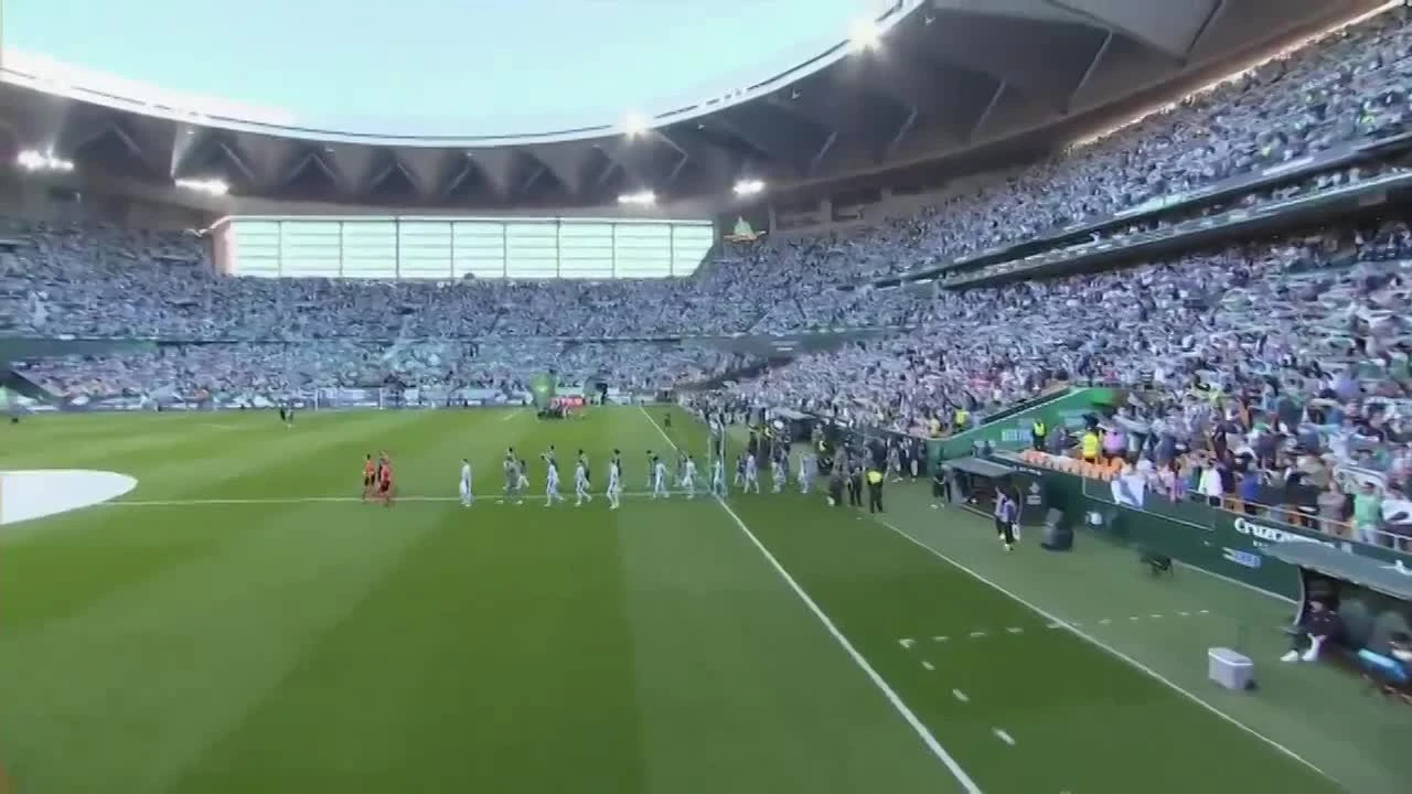 zaslepka skrotu video