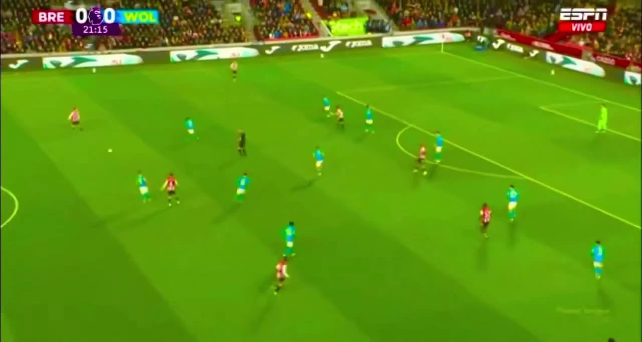 zaslepka skrotu video