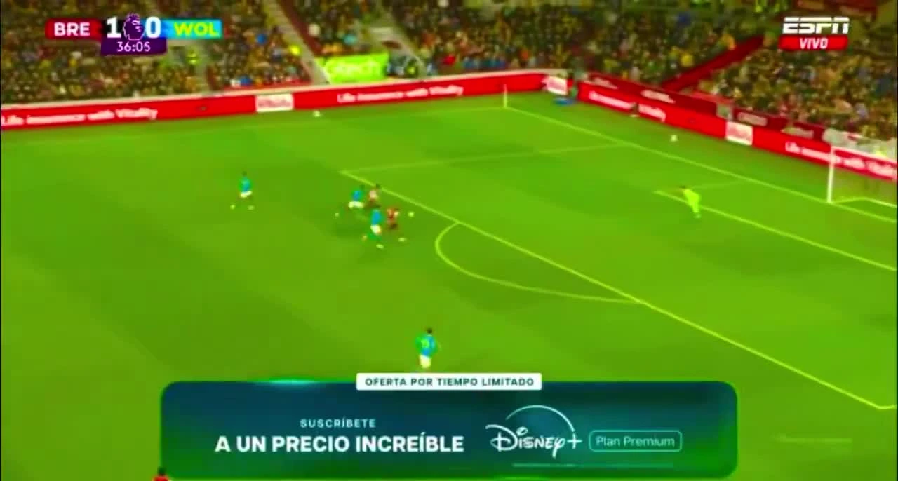 zaslepka skrotu video