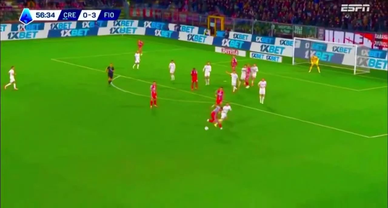 zaslepka skrotu video