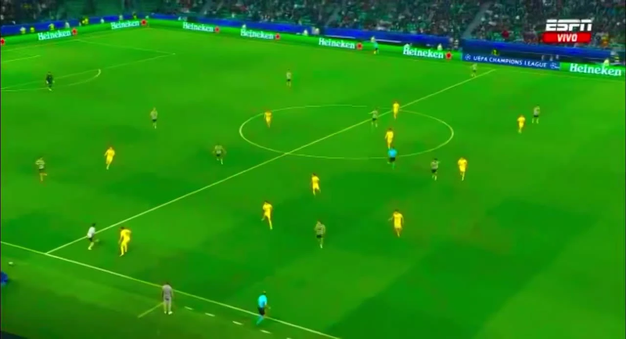 zaslepka skrotu video