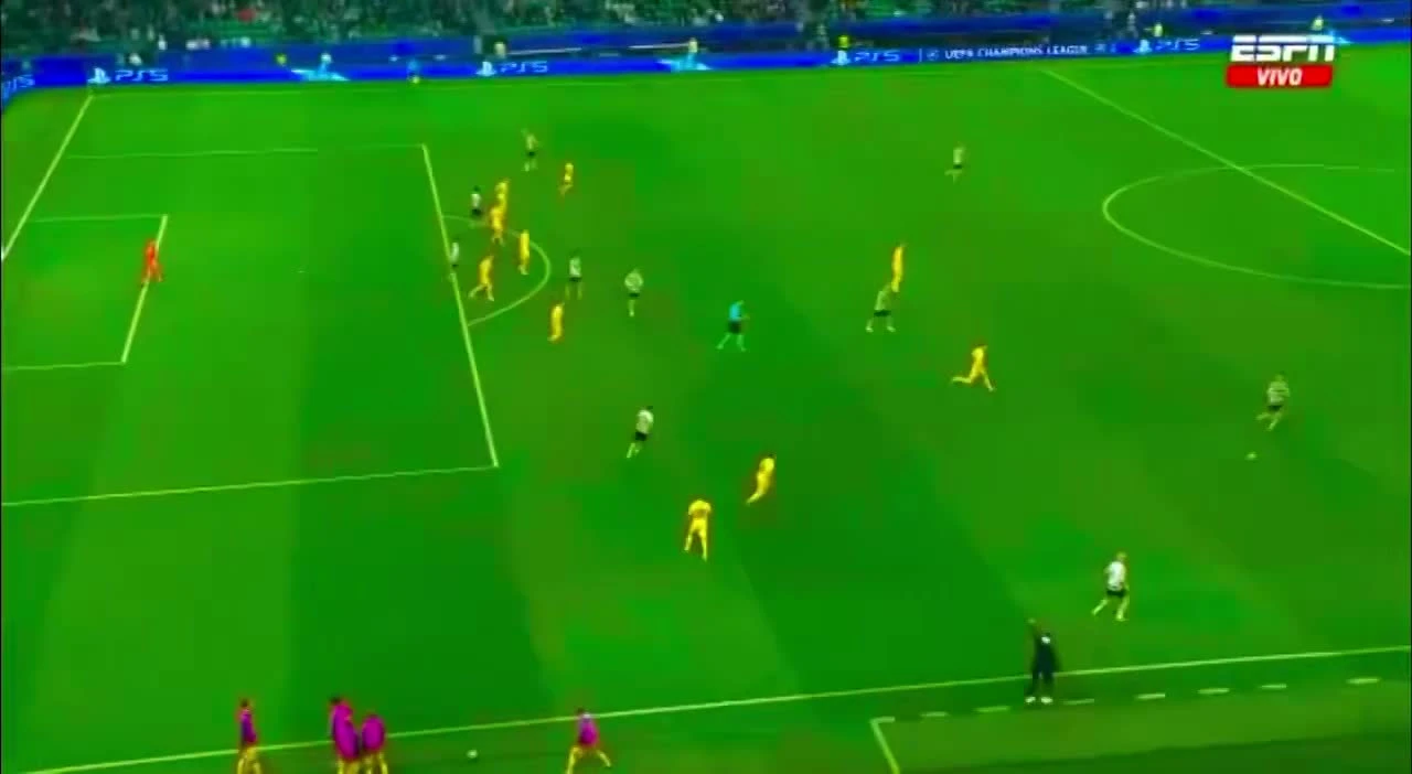 zaslepka skrotu video