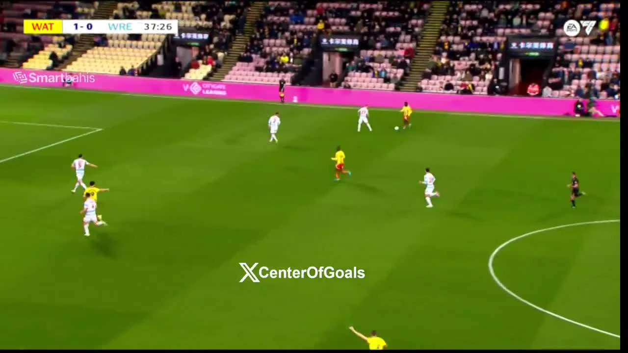 zaslepka skrotu video