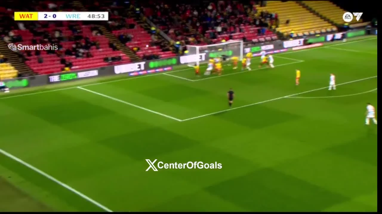 zaslepka skrotu video