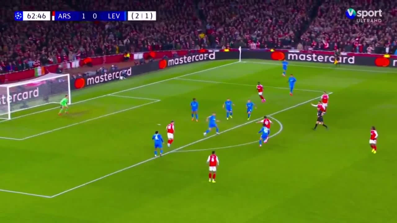 zaslepka skrotu video