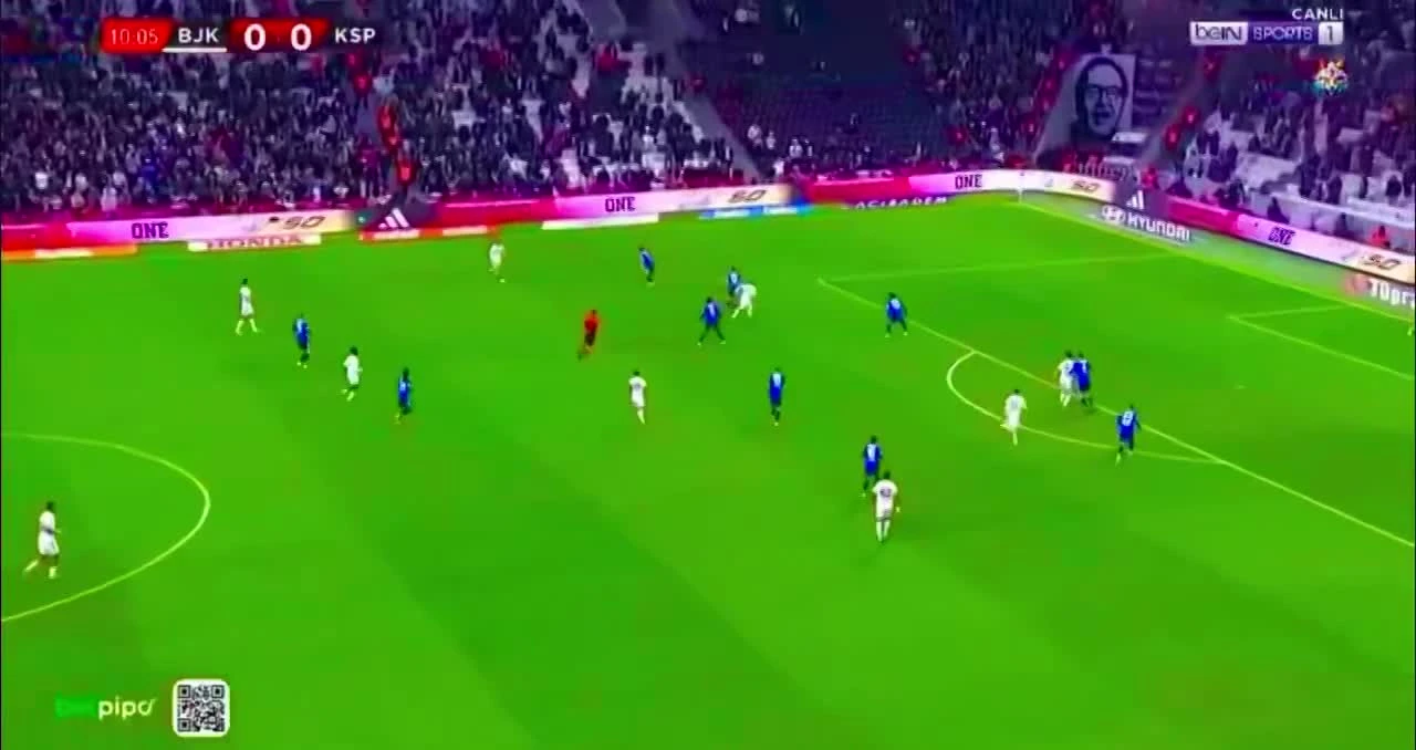 zaslepka skrotu video