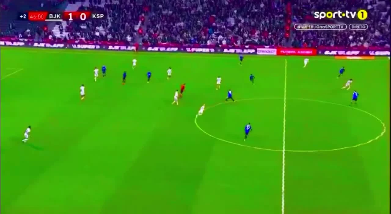 zaslepka skrotu video