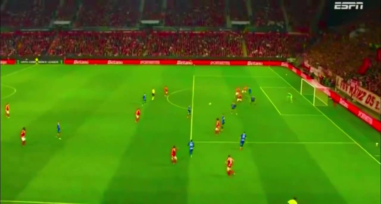 zaslepka skrotu video