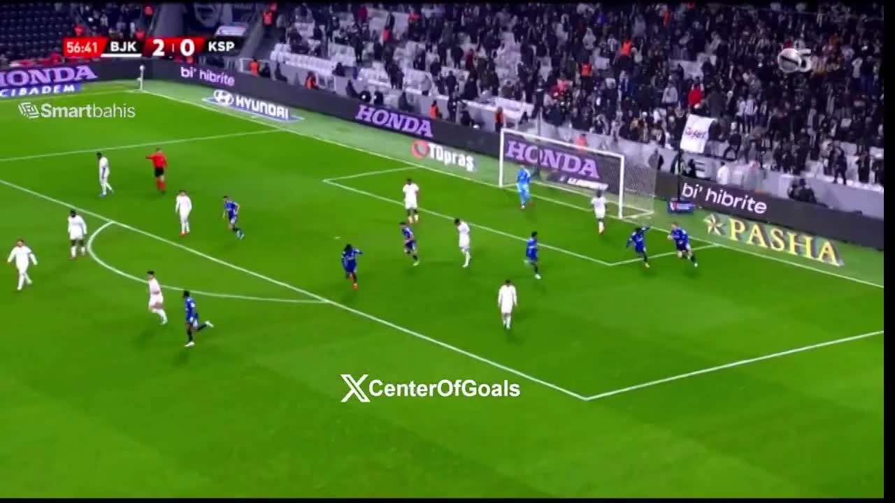 zaslepka skrotu video