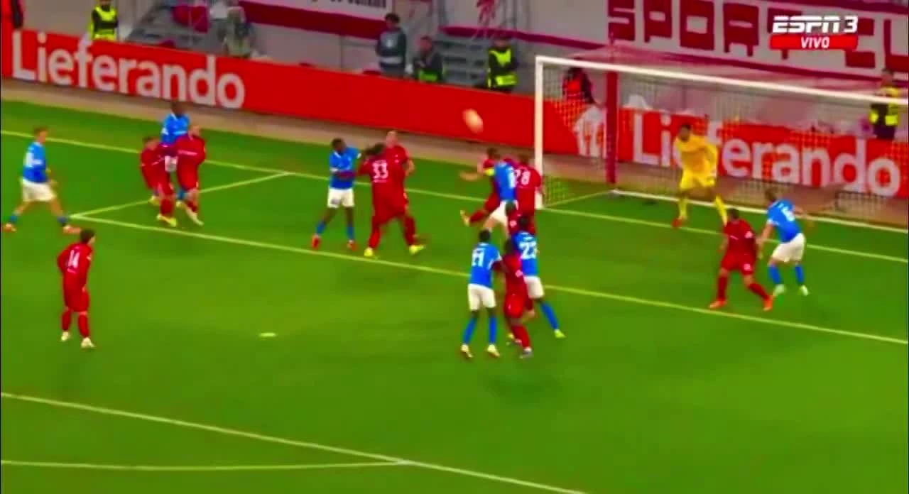 zaslepka skrotu video