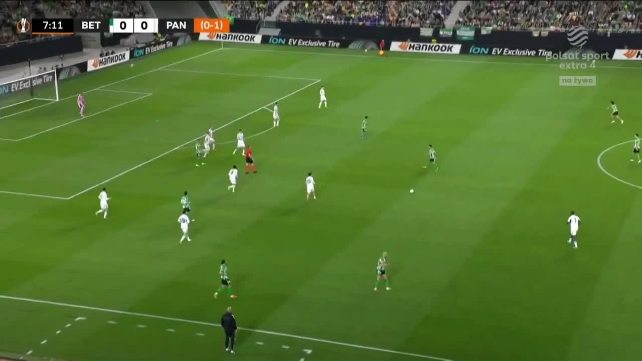 zaslepka skrotu video