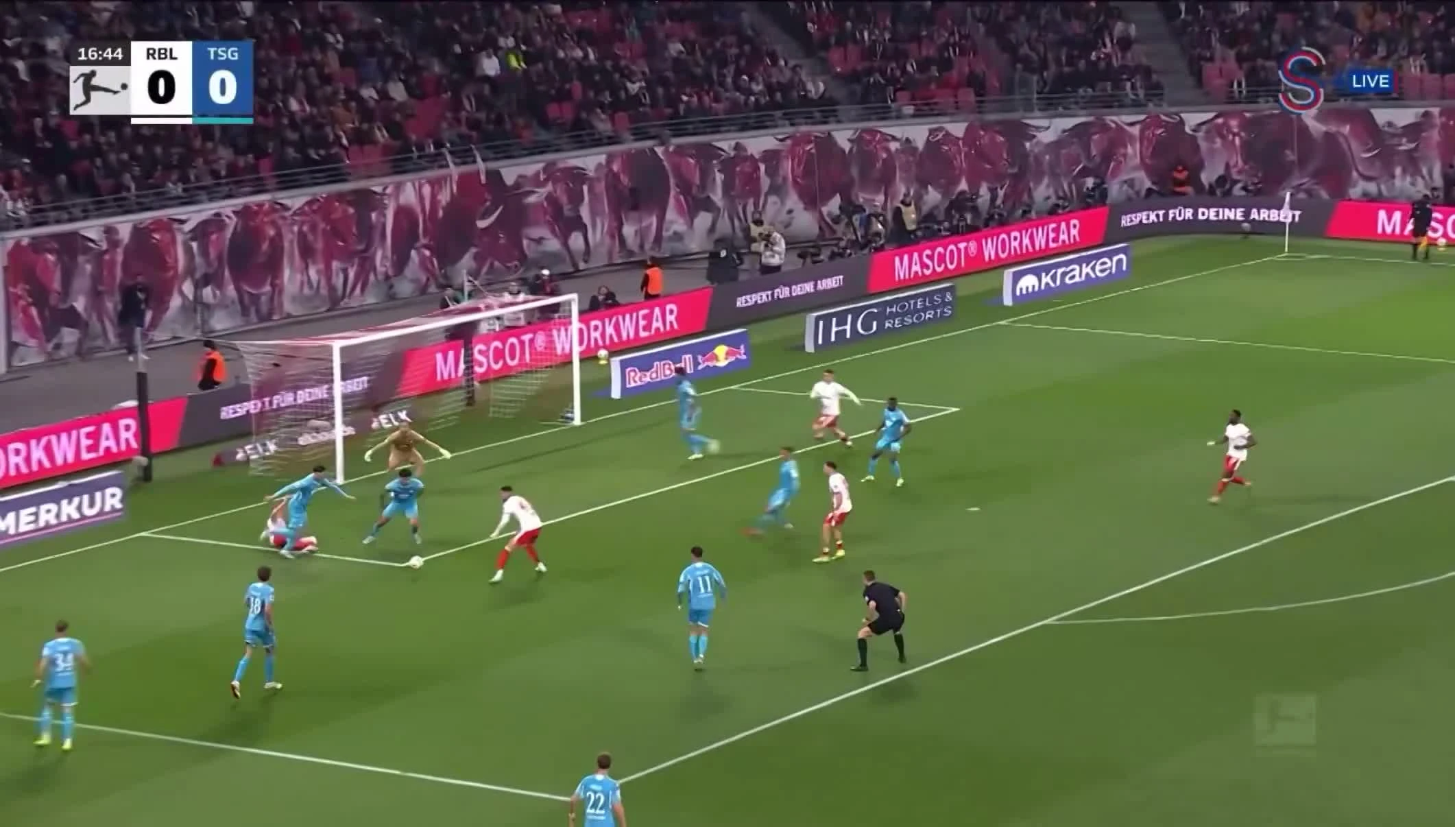 zaslepka skrotu video