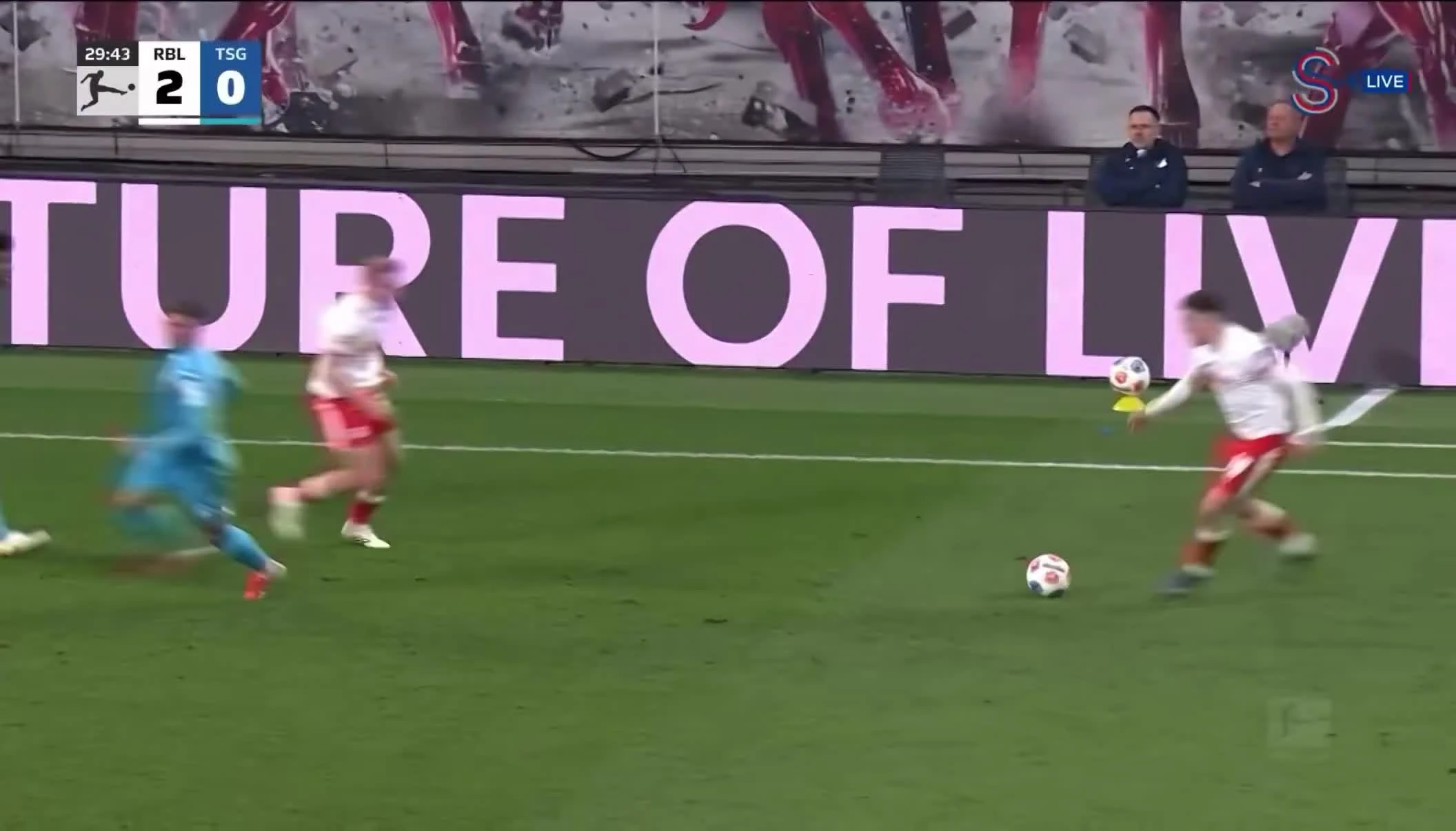 zaslepka skrotu video