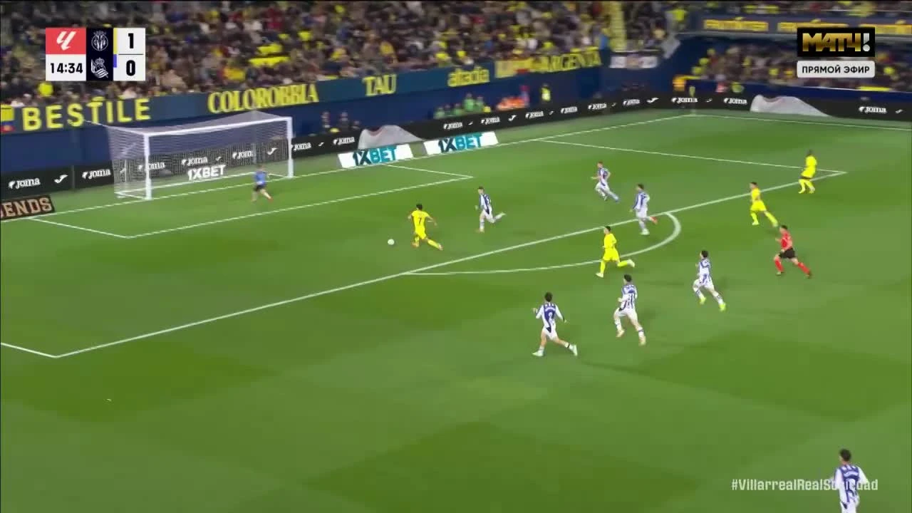 zaslepka skrotu video