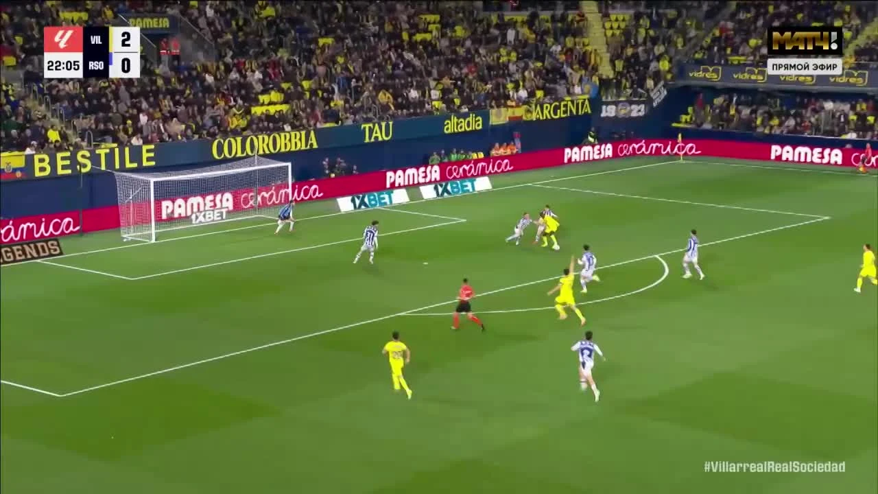 zaslepka skrotu video